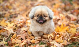 終活の年齢別始め方の違いとは？