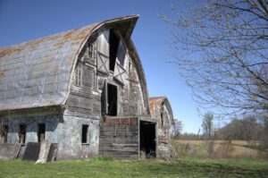 終活に向けた保険の選び方はどのようにすれば良いですか？