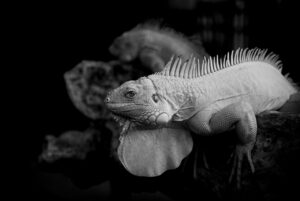 終活と相続問題のトラブル回避法とは？