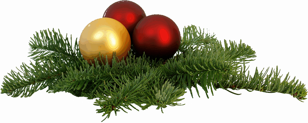 終活セミナーに参加した人の声とは？