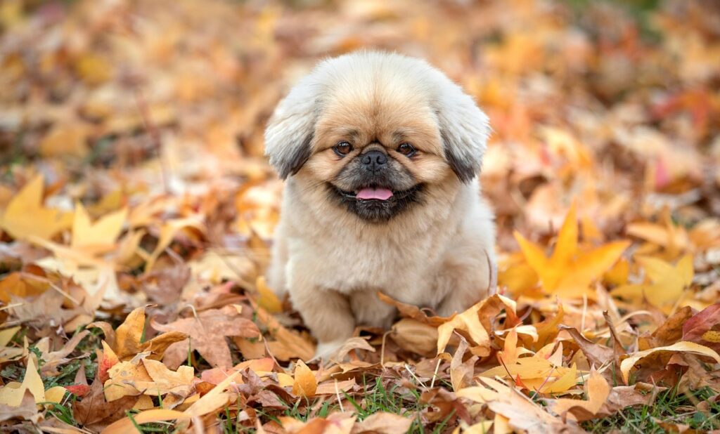 終活で子供に迷惑をかけないために知っておくべきポイントは？