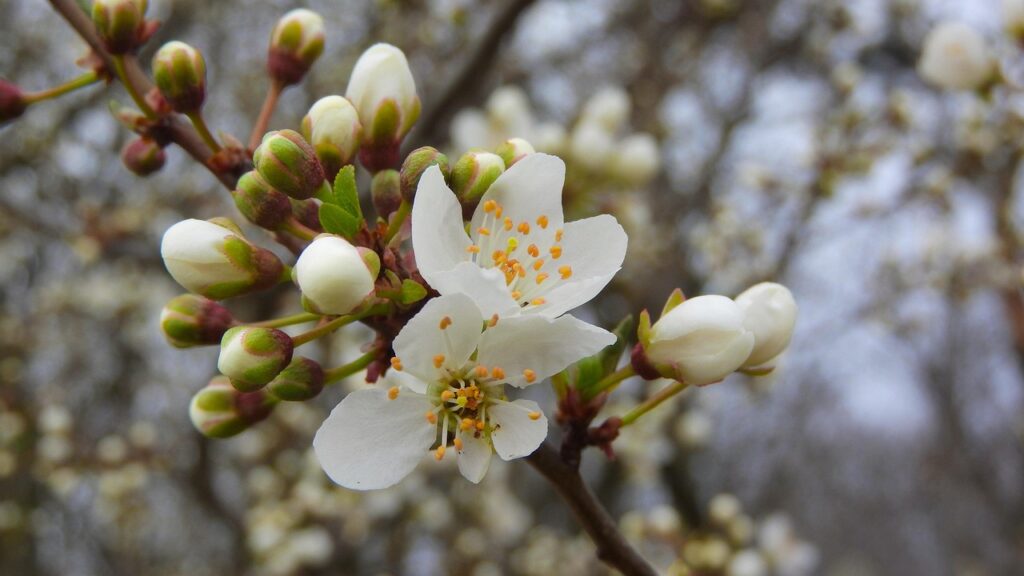 特養に入るための条件は何ですか？
