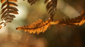 終活に役立つ写真整理の方法とは？