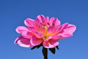 終活を通じて親の終活を手伝う方法は？