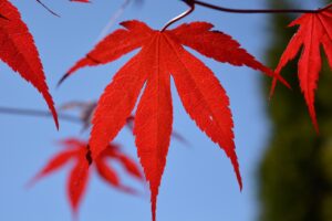 終活で考える第二の人生の計画とは？
